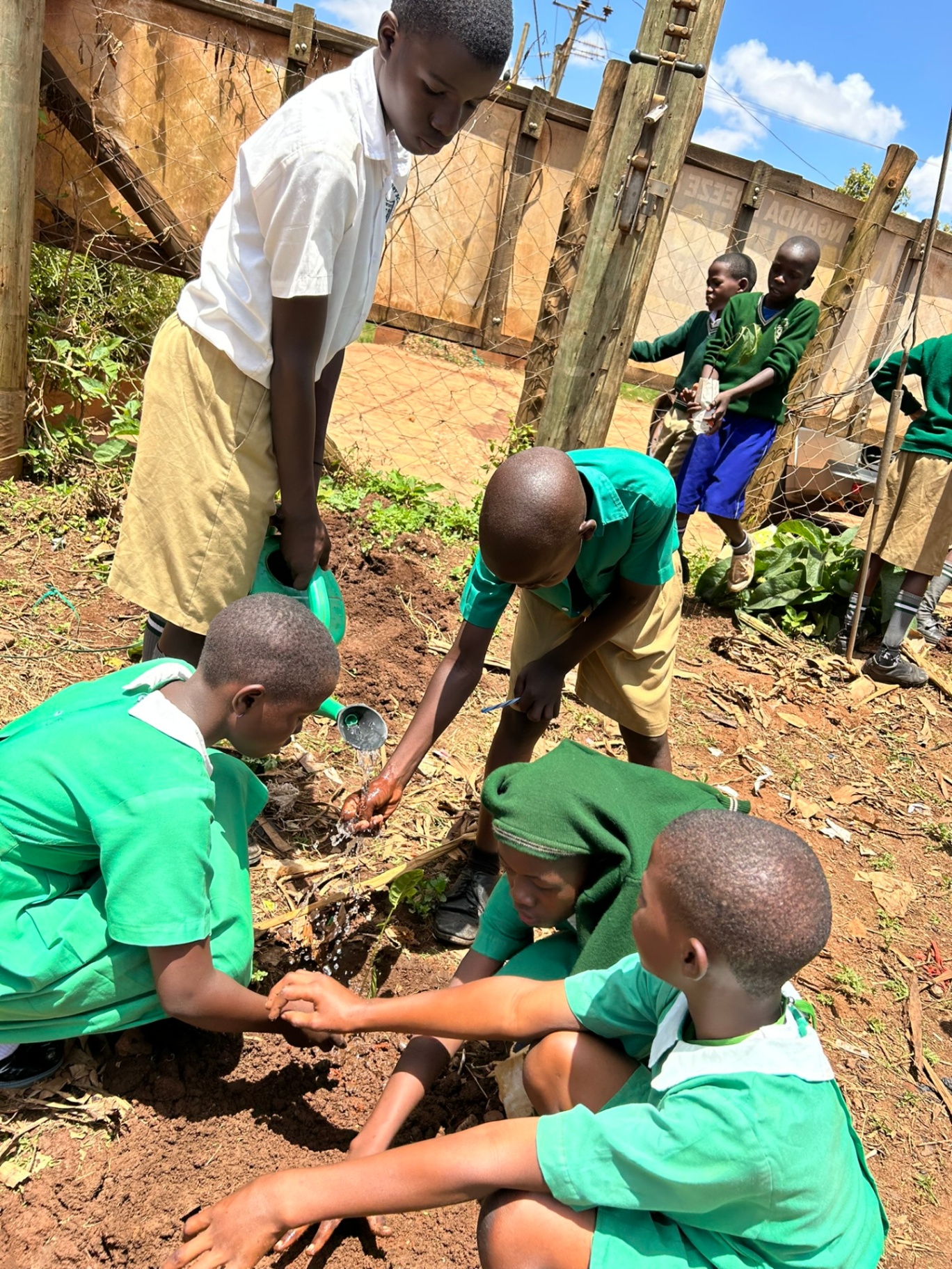 School Visit & Environmental Education Training