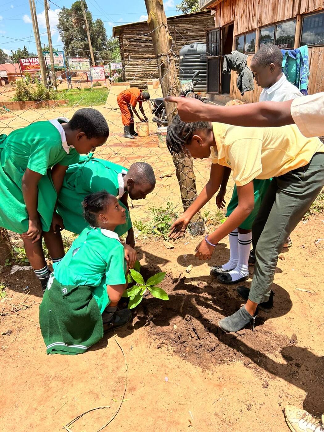 School Visit & Environmental Education Training photo 2