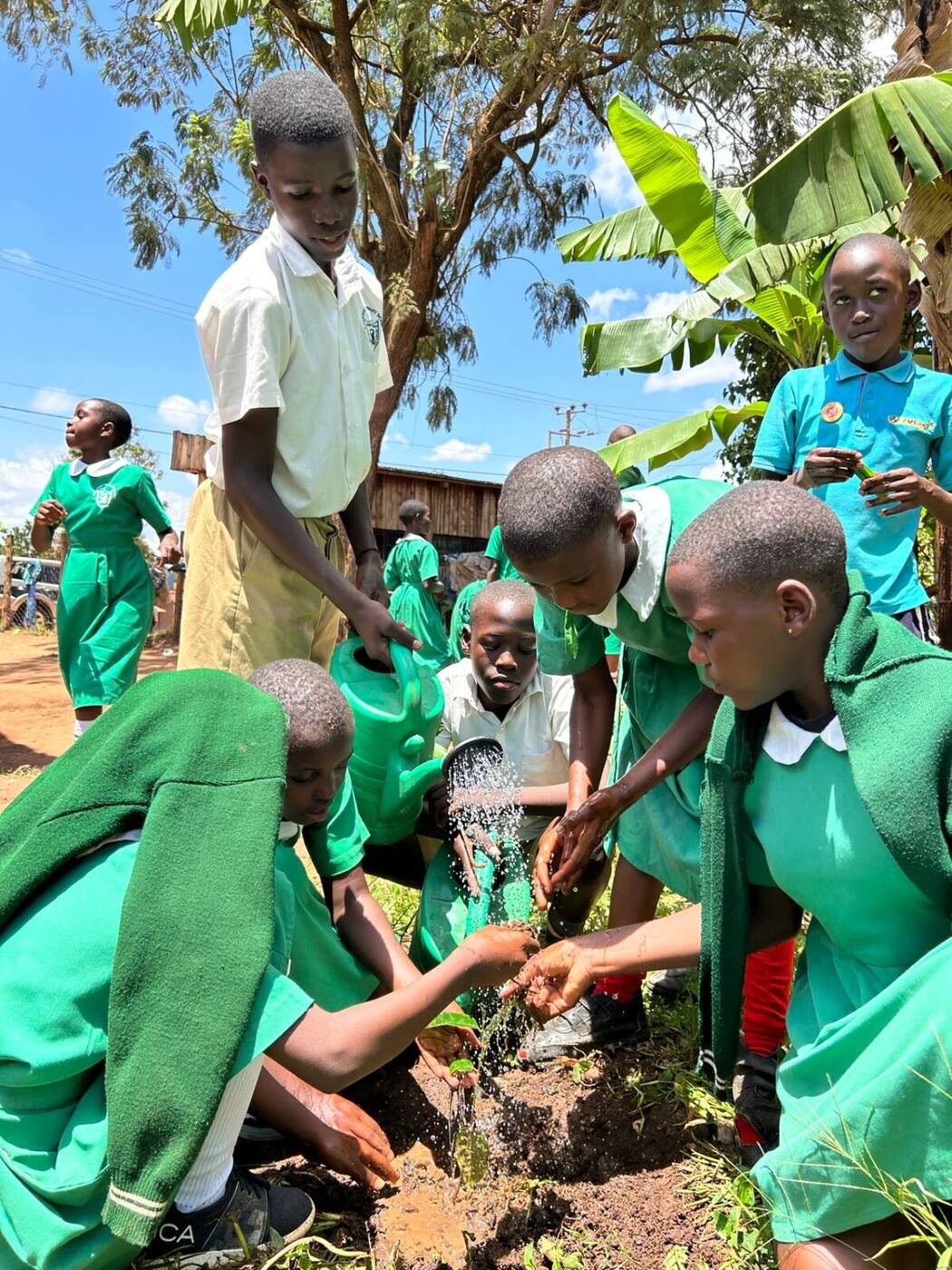 School Visit & Environmental Education Training photo 6