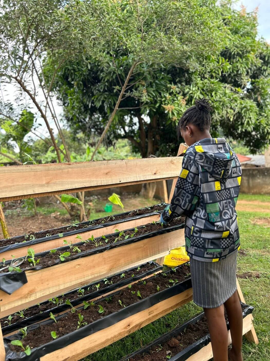 Skilling — Youth Urban Farming & Practical Training photo 1