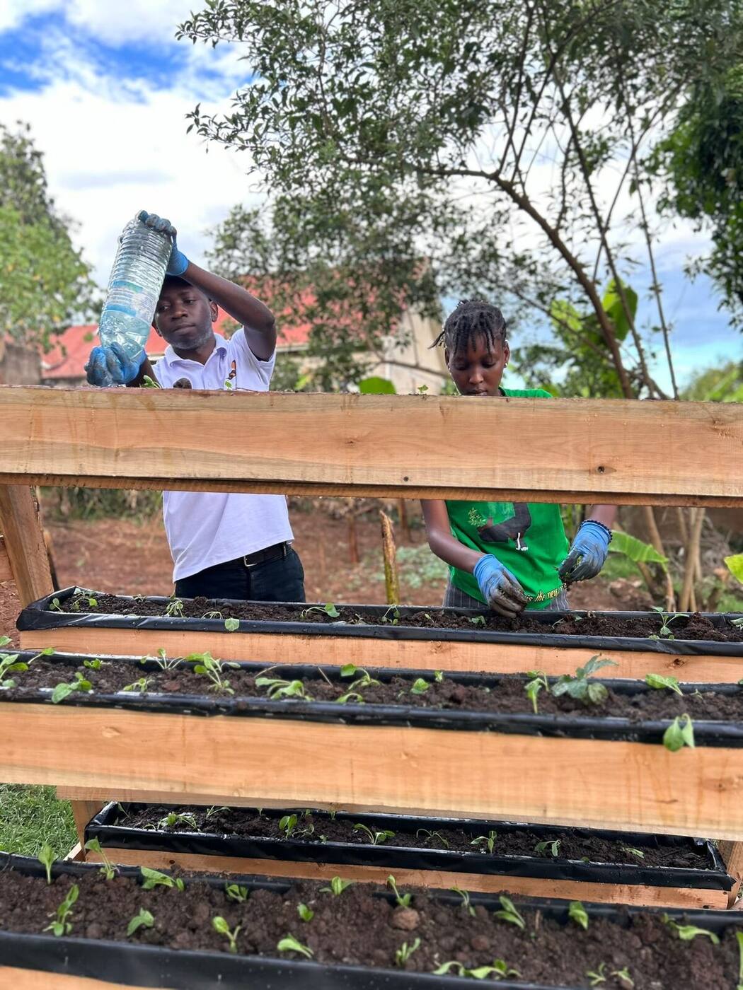 Skilling — Youth Urban Farming & Practical Training photo 5